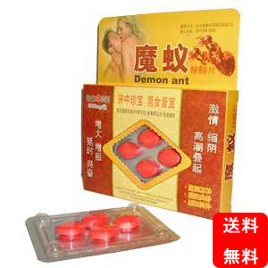 魔蟻(Demon Ant)10箱