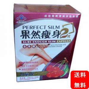果然痩身(全身タイプ)2代目